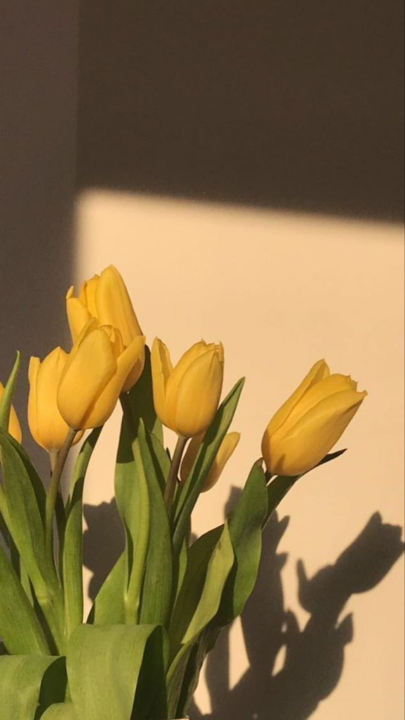ddreflexion's tweet photo. ...Y ella sabía que el sabía que algún día pasaría que vendría a buscarlas con sus ✨️SUS FLORES AMARILLAS✨️ https://t.co/LPwoLKyd0b