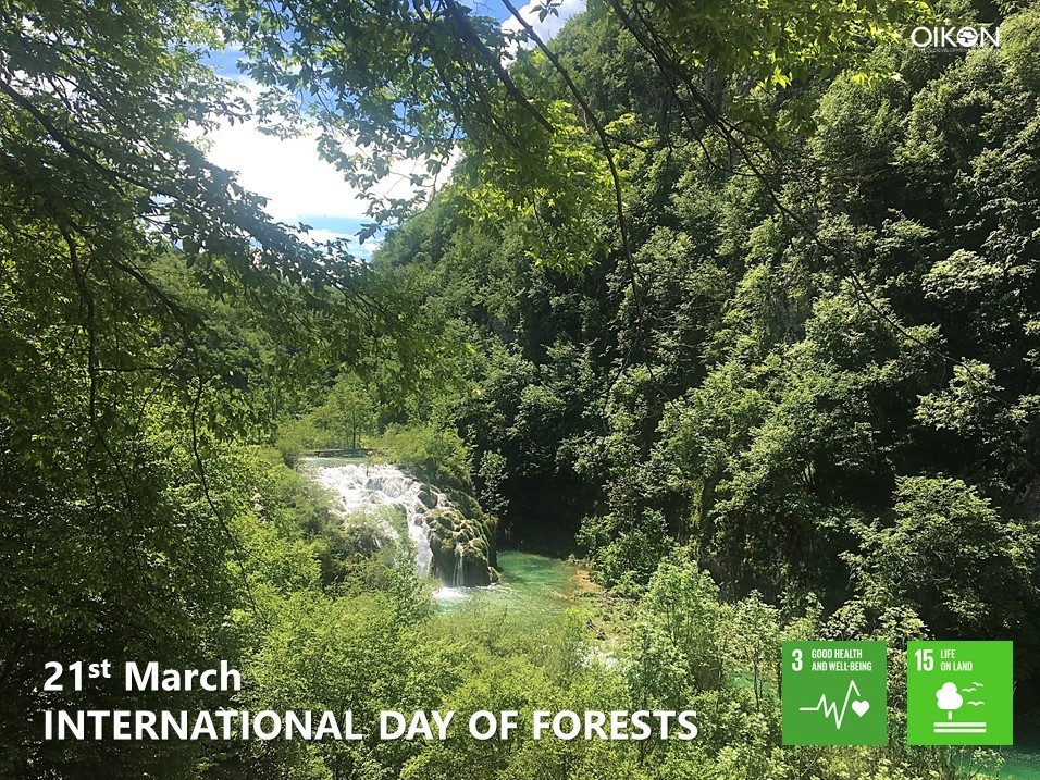 Happy International Day of Forests! 🌳🌲
Despite of their ecological, economic, social and health benefits, forests are endangered by fires, pests, droughts, and unprecedented deforestation.

#IntlForestDay #ForestDay #SDGs #GlobalGoals #Oikon #prosilva