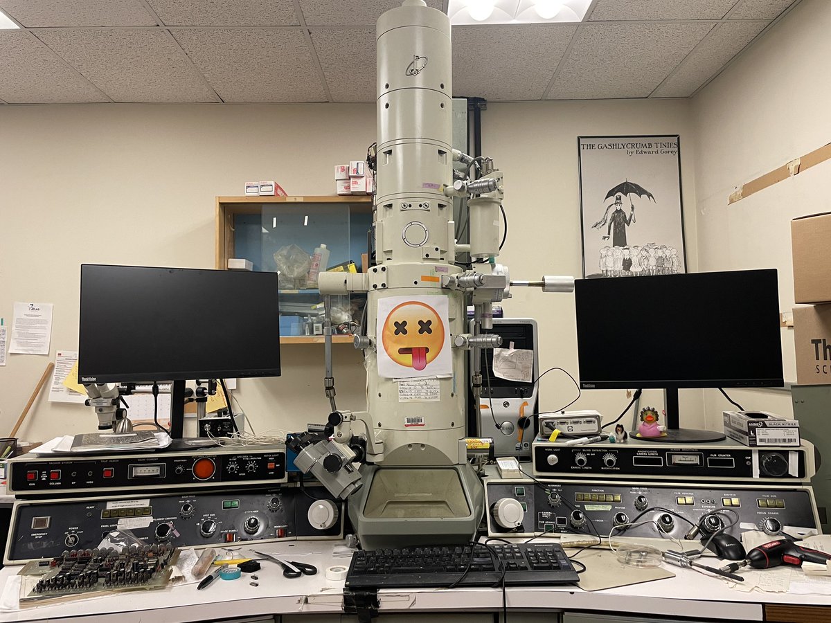 Pinkbeetle_Arts's tweet image. Attn scientists!  Could you help spread the word?  We are looking for a vacuum circuitboard for our JEOL 100-CX TEM .  She ran great for 45 years!  But we need a new vacuum board.  Maybe there’s one around collecting dust? #electronmicroscopy #labhelp #microscopy #sciencetwitter