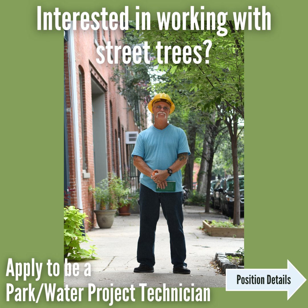 Tree Philly 🌲 tweet media