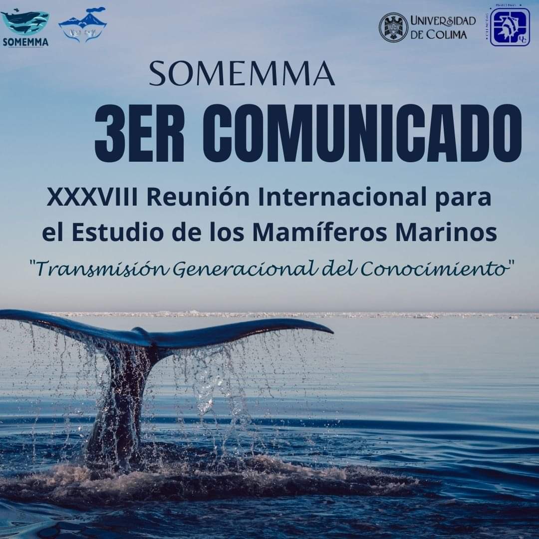 SOMEMMA1's tweet photo. Ya está el 3er comunicado de nuestra XXXVIII REUNIÓN INTERNACIONAL PARA EL ESTUDIO DE LOS MAMÍFEROS MARINOS

Encuéntra la información en nuestra página web: https://t.co/sLT2VE8vzb

¡Nos vemos en Mayo, en Manzanillo, Colima! https://t.co/F077Fr9rw7