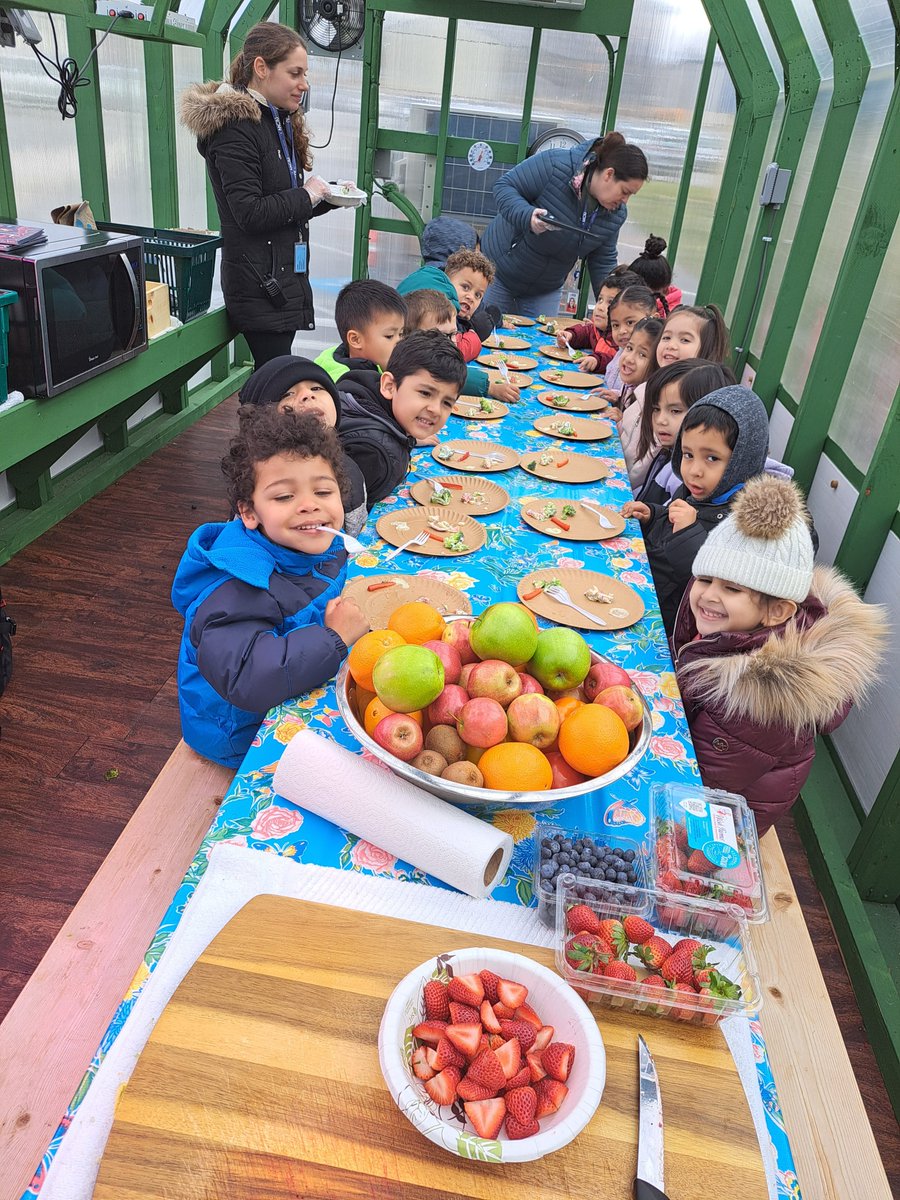 Pre-K Counts classrooms were back in the greenhouse for our Micro Farm lessons with Mr. Howard. The students were excited to get to sit, listen to a story, prep some fruits and veggies, and eat these yummy foods all while inside the mobile greenhouse.