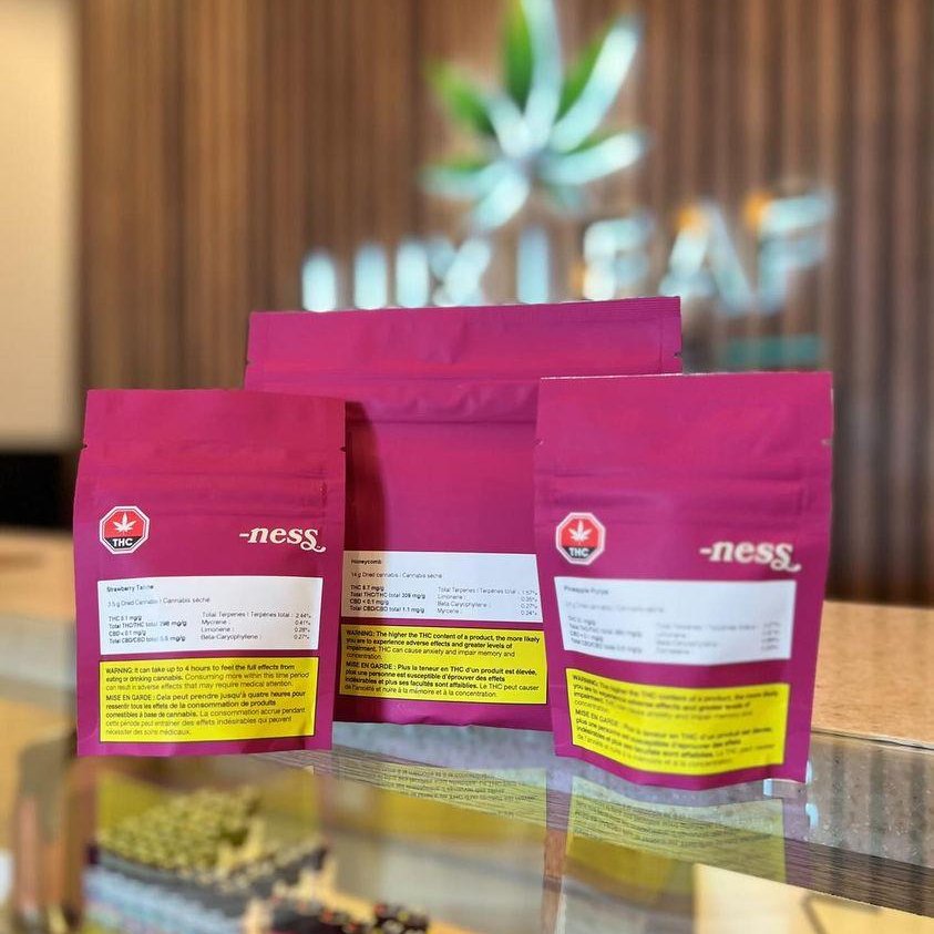 Lux Leaf Edmonton tweet media