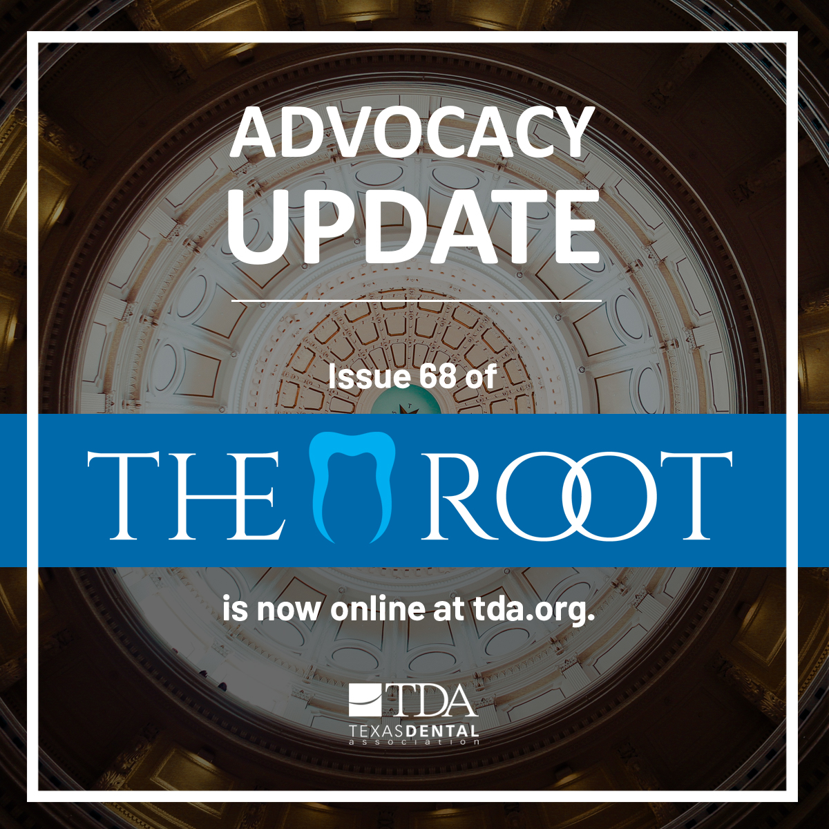 Clear Aligners. Insurance reform. Medicaid fees. Loan repayments. Health insurance. Dental and hygiene licenses.  A TDA Call to Action on the clear aligner bill. Click here to read the latest issue: tda.org/advocacy/the-r…