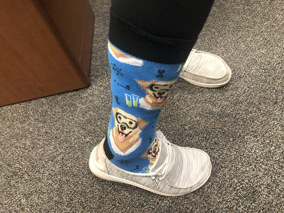 Darryl Robbins 🇨🇦🇺🇸 tweet media