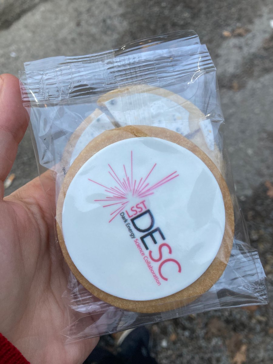ETsaprazi's tweet photo. @LSSTDESC taking virtual meetings to a whole new level! Thank you so much for this amazing surprise! #cookies #stickers https://t.co/NoLgfmpzEB