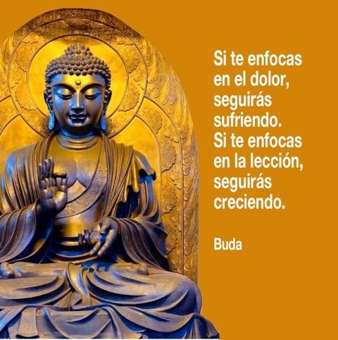 avanzandoacasa's tweet photo. 🧘‍♀️🧘‍♀️ https://t.co/6aowMsLht3