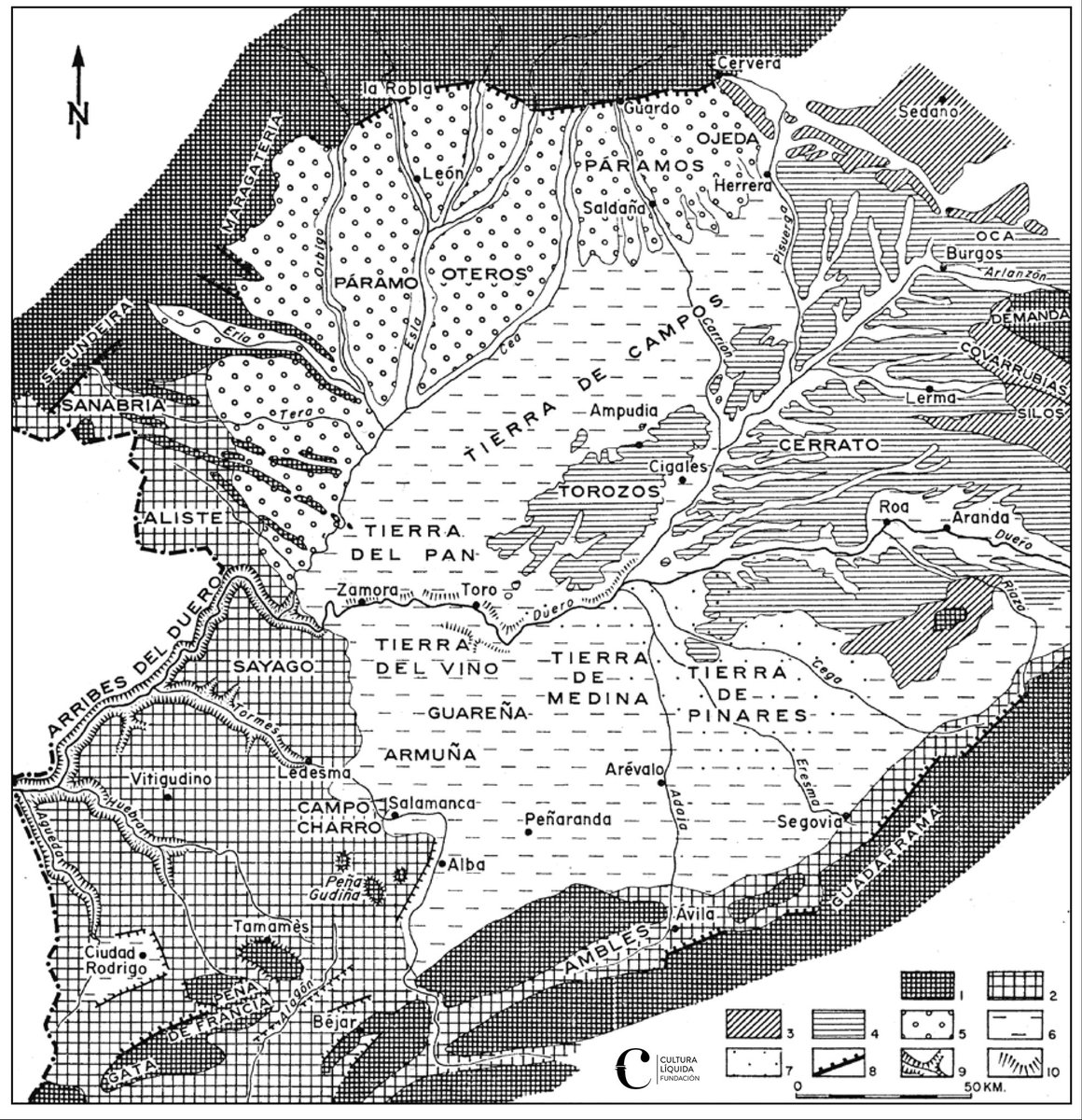 Mapa de las regiones morfológicas de la cuenca del Duero diseñado por el geógrafo Alain Huetz de Lemps para su gran obra “Viñedos y vinos del noroeste de España”. 
Una visión detallada de las geografías de la cuenca y divisiones en zonas tradicionales de Tierras de Pinares, Pan…