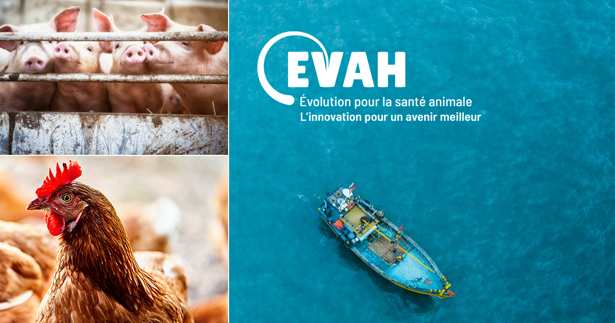 EVAH Corp tweet media