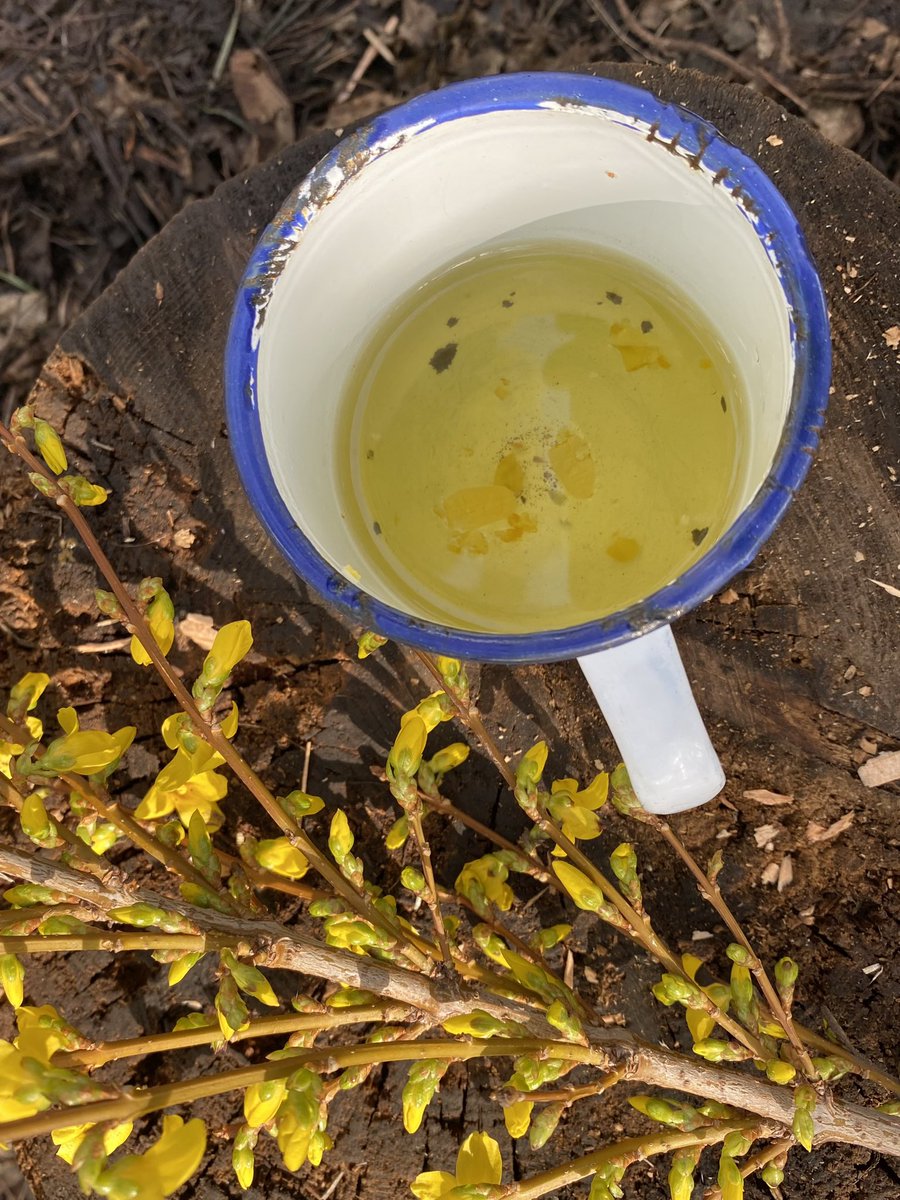 dpsforestschool tweet media