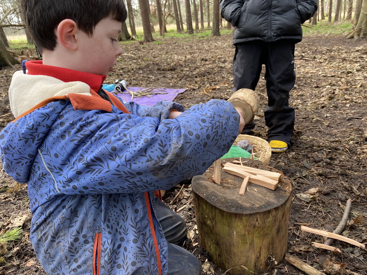 dpsforestschool tweet media