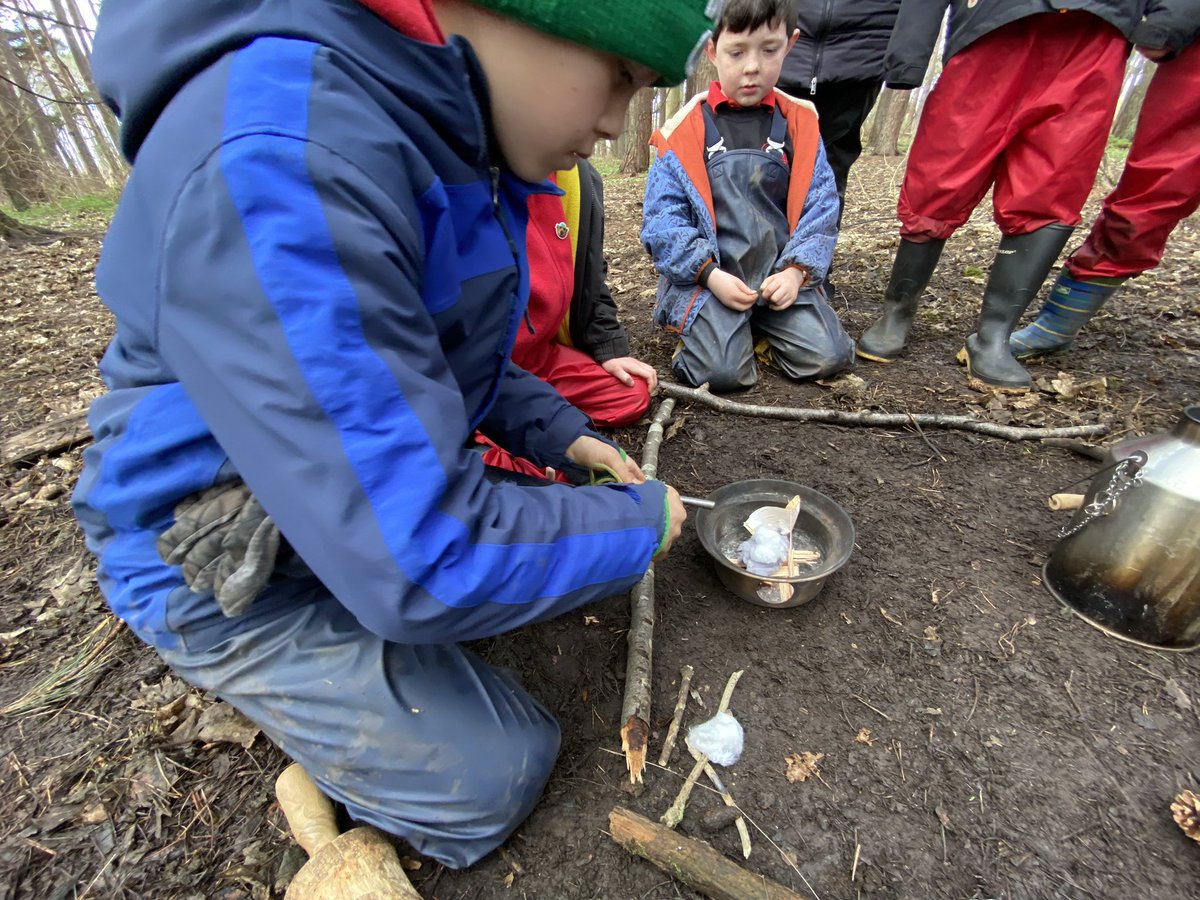 dpsforestschool tweet media