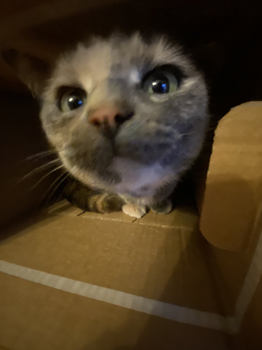 julia (@jiwoocaffe) on Twitter photo 