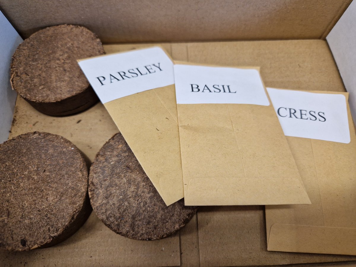 SSCP DTP tweet media