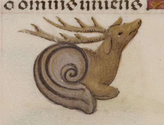 WeirdMedieval's tweet photo. snail deer, netherlands, 15th century https://t.co/pTBUNJ69Mq