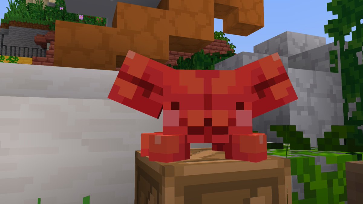 MCC Island on Twitter: 