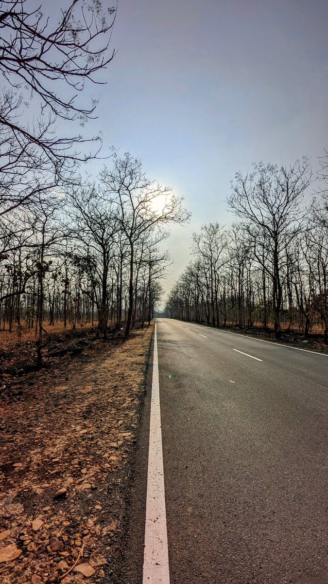 iamrooshan's tweet photo. #mobilephotography #naturephotography #googlepixelphotography #shotonpixel #nagpur #picturetokeep_nature #googlepixel #pixels #d #artist #design #android #a #pixel6a #teampixel
@googlepixel
@madebygoogle https://t.co/OdG8wiUsIz