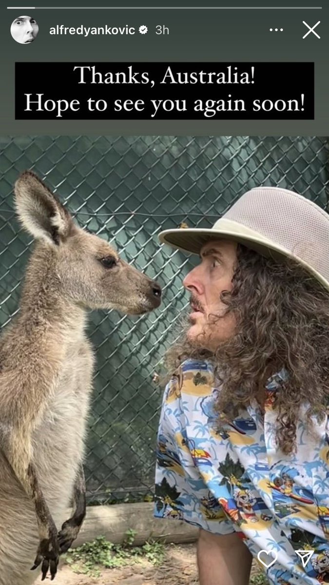 WEIRD4L's tweet photo. This selfie …you ever wanted to be a kangaroo ? https://t.co/gsRYFmedsh