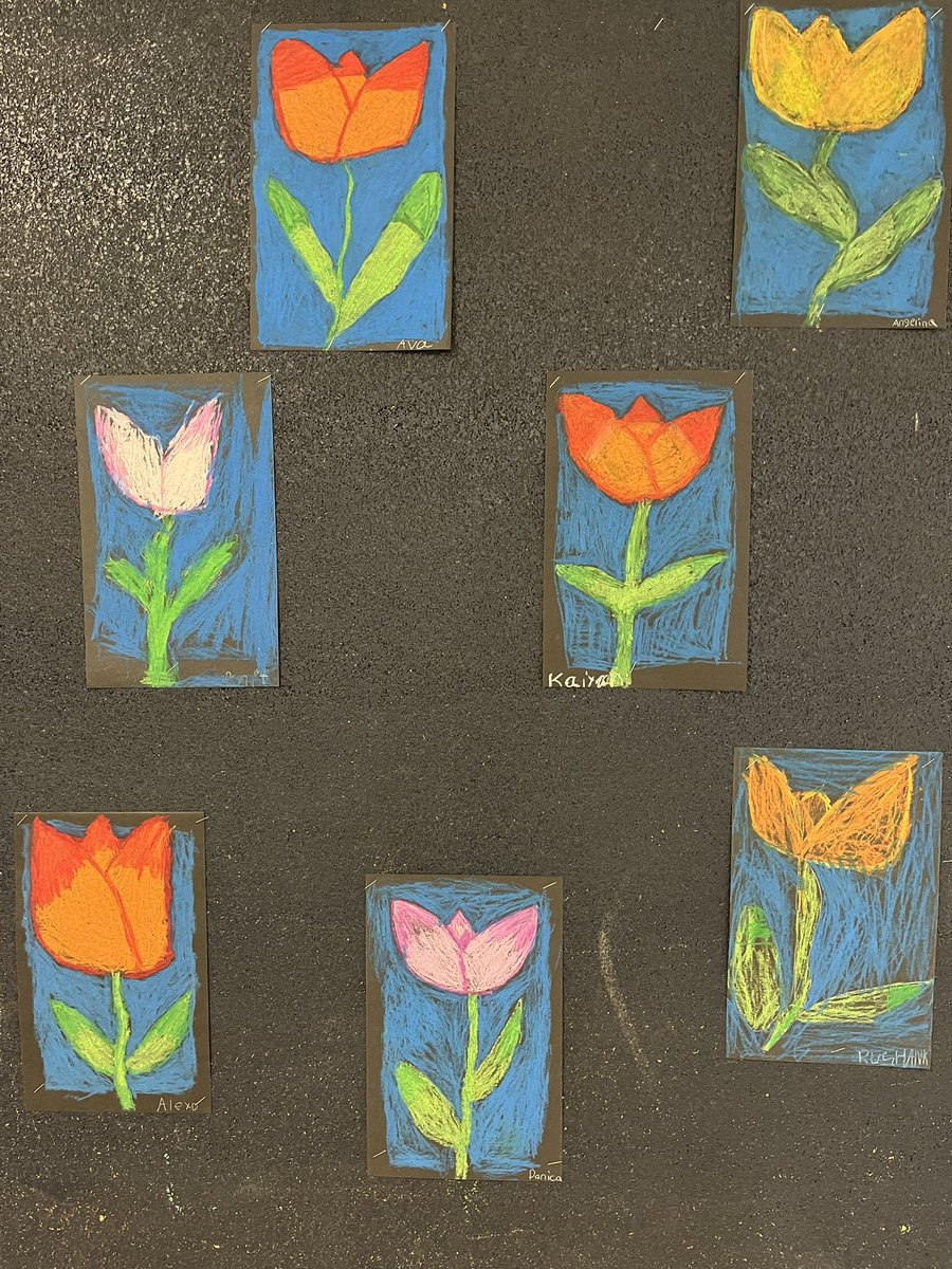 MsLindsay13's tweet photo. Spring Tulips 🌷 https://t.co/spEa79Gr0j