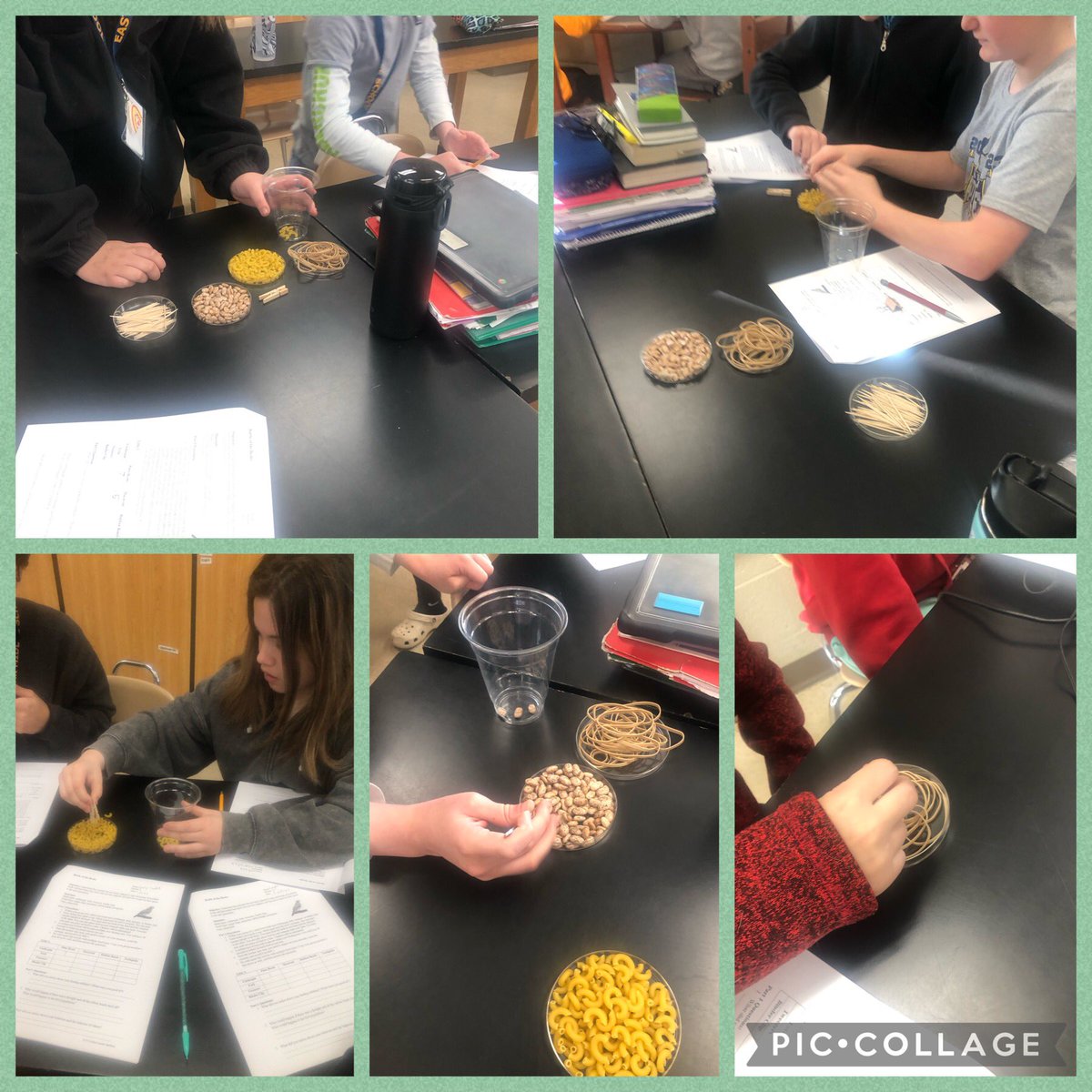 Part 1- The last two days our sixth grade scientists have been following their roadmap through their progression of learning of natural selection. In one of their Practice it activities they could choose to test a variety of bird beaks #easternedge