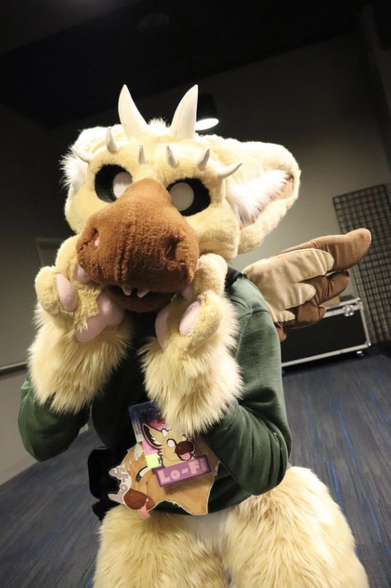 LoFiDutchie's tweet photo. Got some great photos from @cheesebeagle at #furthemore2023 

Thank you!! 🥰 https://t.co/ULLgs019dT