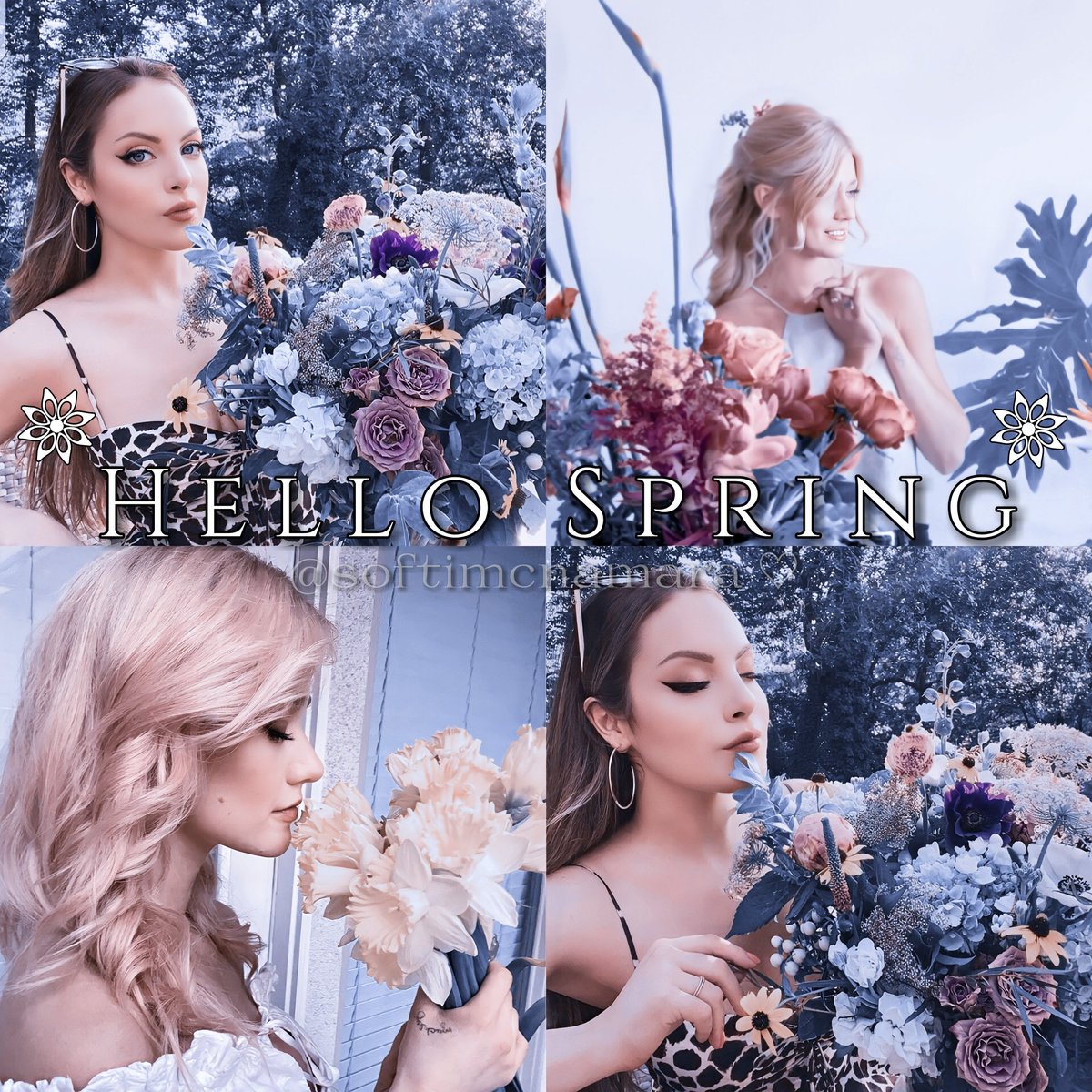 kittenkatsangel's tweet photo. Hello Spring πΉ
Β @Kat_McNamara πΌπΌπ
Β @LizGillies π
#FirstDayOfSpring2023 https://t.co/hJy5CpXwm3