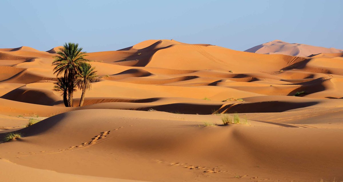 BikingMorocco's tweet photo. https://t.co/DavHtNOQ9V Morocco desert tours from Marrakech to Merzouga
#marrakechtour
#saharadesert
#saharadesertmorocco
#sahara_tours_morocco
#saharatoursmarrakech
#deserttour
#tangiertrips
#tangiertours
#visitmorocco
#moroccotour
#moroccotravel https://t.co/GMnUoKjxpW