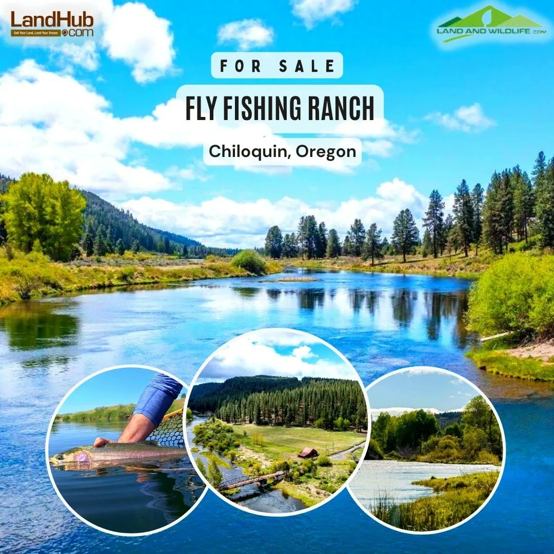 World Class Fly Fishing Ranch with +/-3 Miles of River Frontage on the Beautiful Williamson and Sprague Rivers in Chiloquin, #Oregon FOR SALE! 🔥 🔥 🔥 
#ranchforsale #flyfishing #riverfrontproperty 

MUST SEE ⚡ bit.ly/3Jx4Qk4