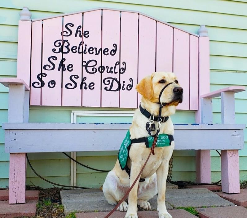 The best update we could possibly give y'all: Gal is now a working guide dog! Gal and her new handler graduated together from Guide Dogs for the Blind in California over the weekend. They are the PERFECT match and we are truly beyond thrilled.