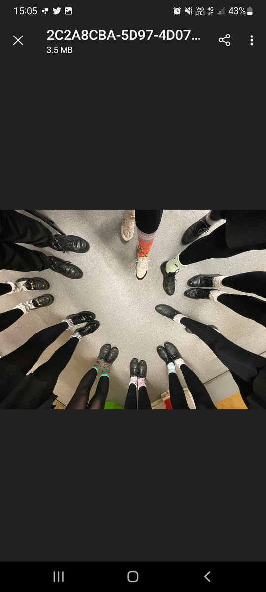 BHCS Equality And Rights Advocates tweet media