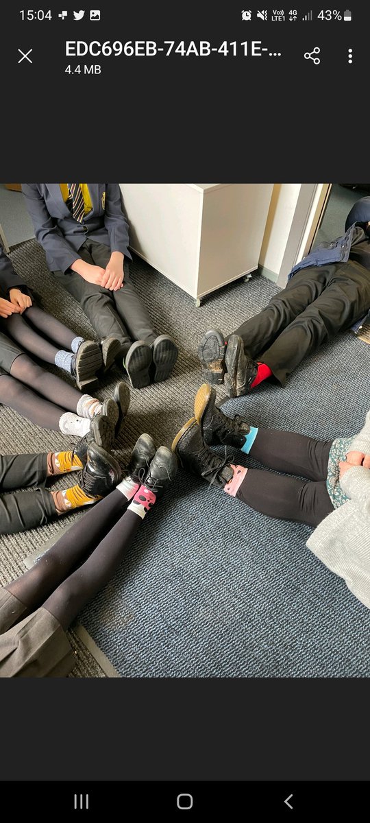 BHCS Equality And Rights Advocates tweet media