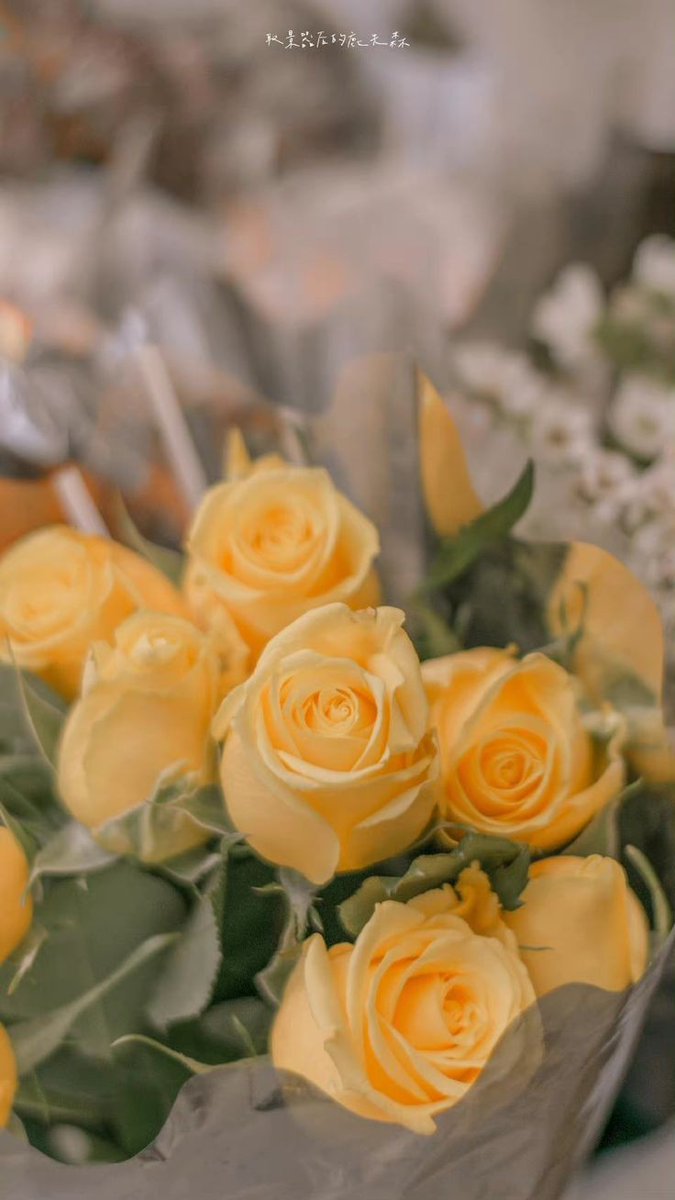 ⧼ @Smith_MattR ⧽

𝘐'𝘷𝘦 𝘭𝘰𝘷𝘦𝘥 𝘺𝘰𝘶 𝘵𝘩𝘳𝘦𝘦 𝘴𝘶𝘮𝘮𝘦𝘳𝘴 𝘯𝘰𝘸, 𝘩𝘰𝘯𝘦𝘺, 𝘣𝘶𝘵 𝘐 𝘸𝘢𝘯𝘵 '𝘦𝘮 𝘢𝘭𝘭 