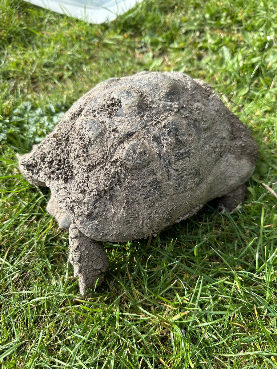 PhatOnions tweet media