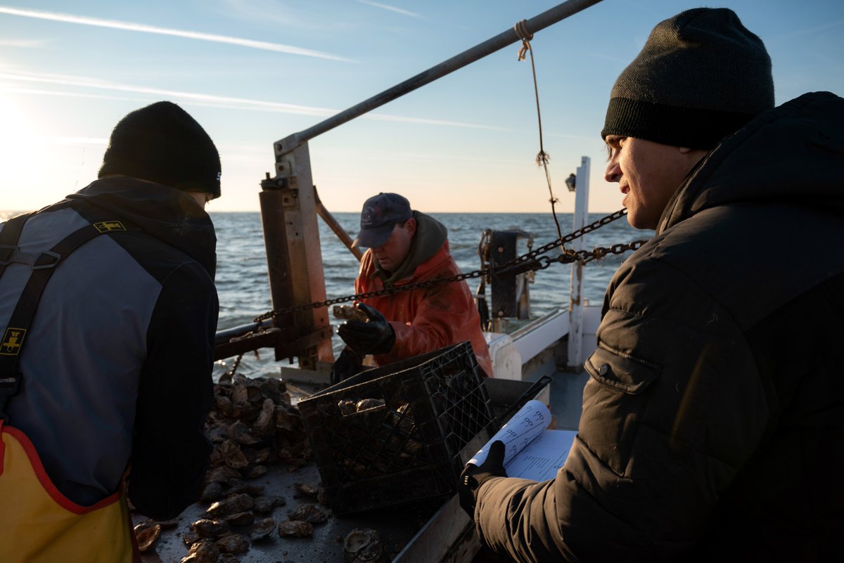 Virginia Seafood Ag Research & Extension Center tweet media