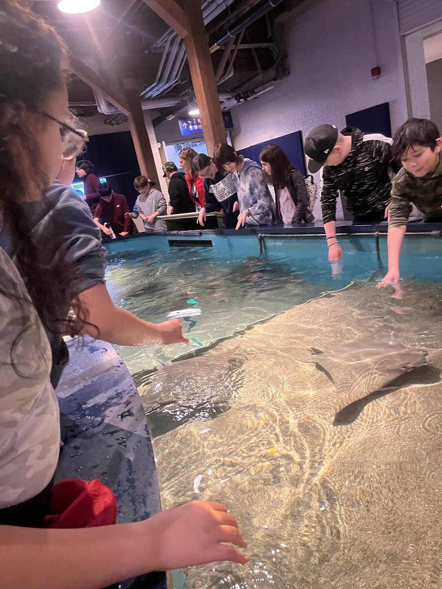 mrssheehan2's tweet image. Off on a great adventure to @MaritimeAqua with the sixth graders! #Tiger2 #BethelMiddleSchool @BethelCTSuper @brookskristen1 @WatsonBryan7 @taranovichj1 @ShannonMaricon1