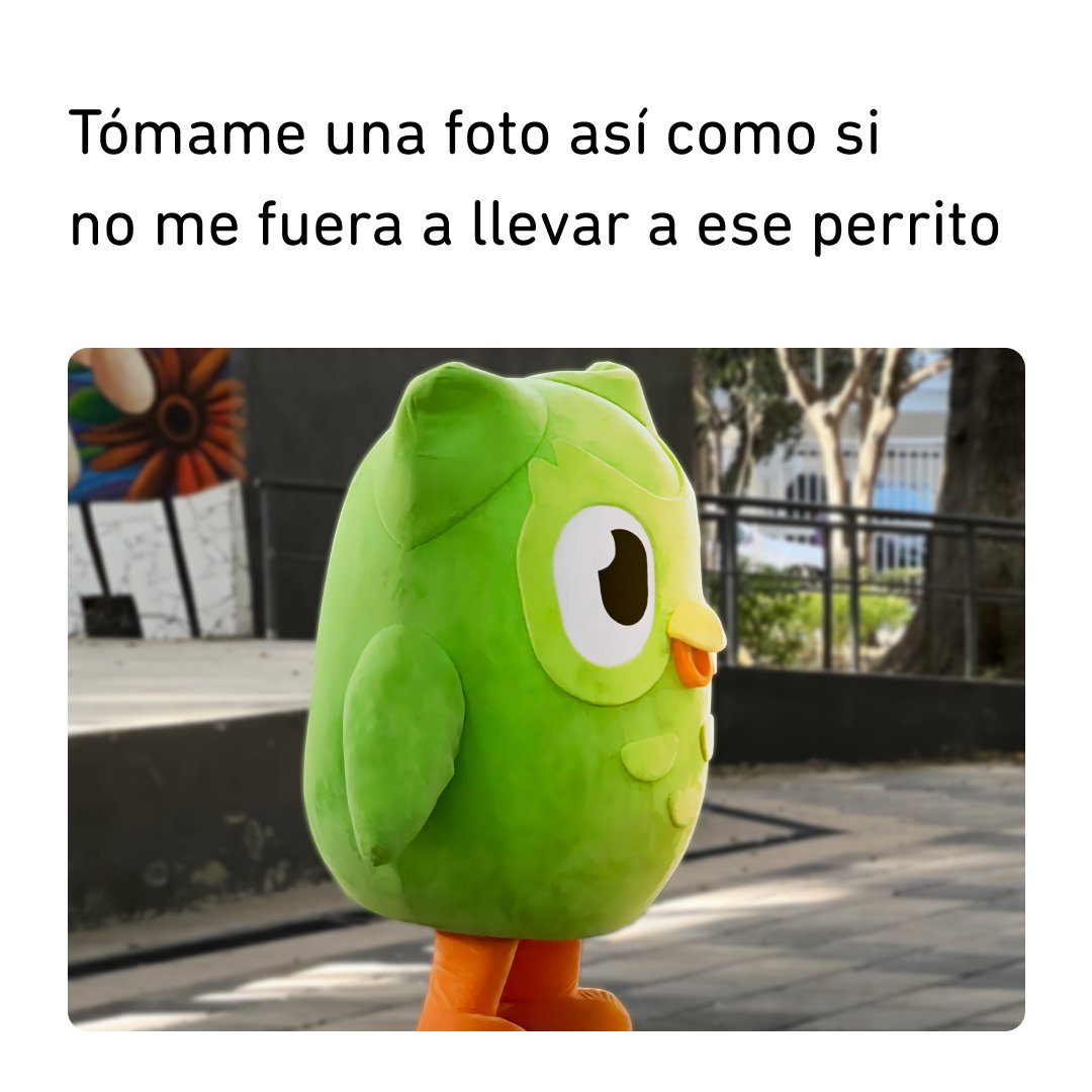 duolingoespanol's tweet photo. Siempre incógnito. https://t.co/uDQKc519sb