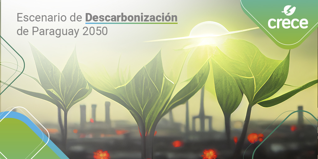 CRECE Paraguay tweet media