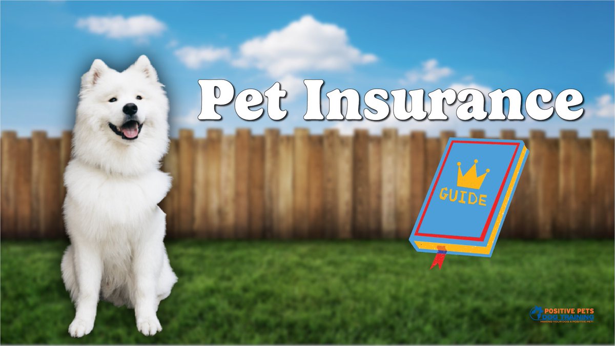 A Full Guide to Pet Insurance | positivepetsboise.com/a-full-guide-t…