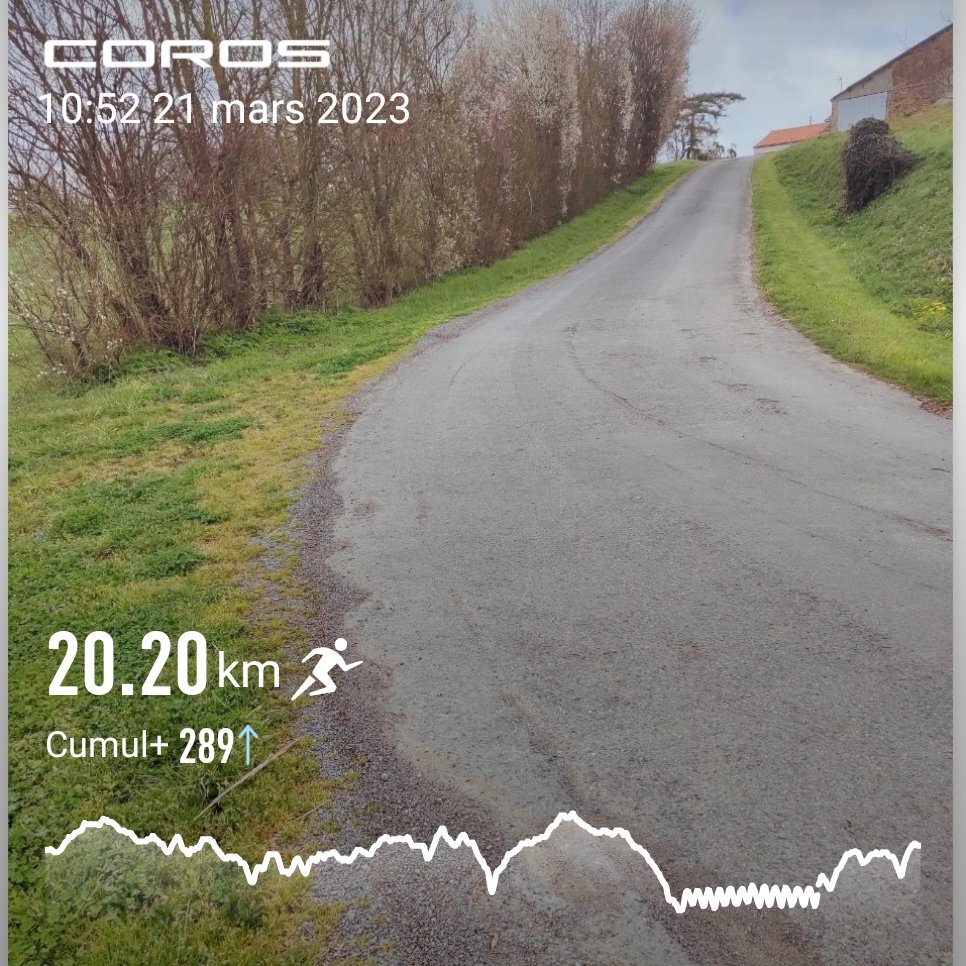 Jackanasardnan1's tweet photo. 👋#Runners.Une bonne séance qui arrache mollets et cuissots.Apres 15Km d'EF; c'est côtelettes 12×30" récup active 1' en descente.Du tout bénef.Bye #PobarChallenge #RunningWithTumiSole @ComuniRunners #IPaintedMyRun #lifestyle.
Take a look at Strava : https://t.co/g0rC6v3cIT https://t.co/fgSLOMM7wC