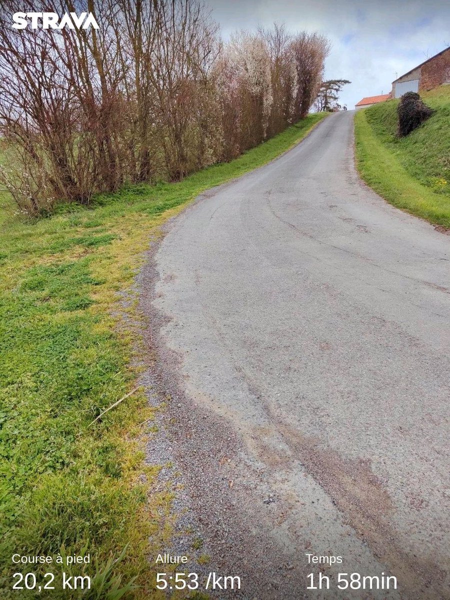 Jackanasardnan1's tweet photo. 👋#Runners.Une bonne séance qui arrache mollets et cuissots.Apres 15Km d'EF; c'est côtelettes 12×30" récup active 1' en descente.Du tout bénef.Bye #PobarChallenge #RunningWithTumiSole @ComuniRunners #IPaintedMyRun #lifestyle.
Take a look at Strava : https://t.co/g0rC6v3cIT https://t.co/fgSLOMM7wC