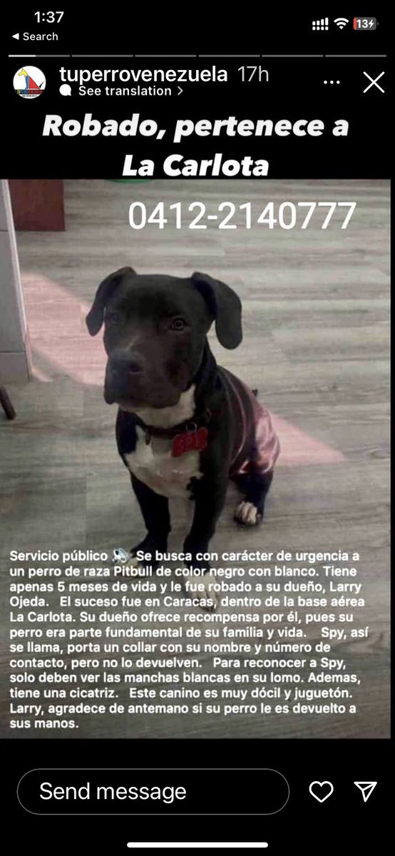 PerroUsuario Wof '•' tweet media