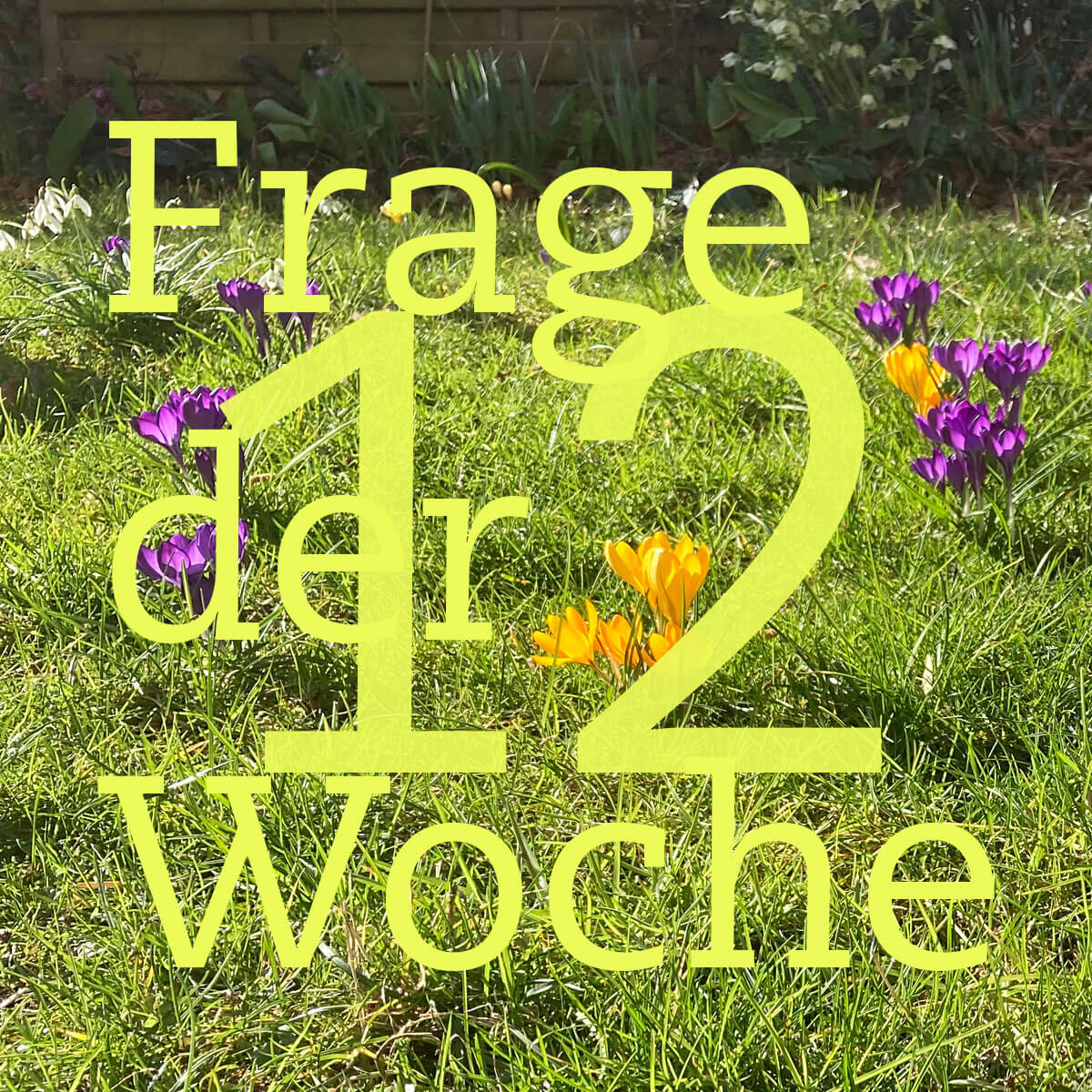 Unsere FdW KW12
r-u-r.com/dialog/frage-d…
Heute am 20.3. ist – auch nach dem Stand der Sonne – #Frühlingsanfang. Es ist wärmer, heller und bunter.
Welche #Frühlingsgefühle spürst du?