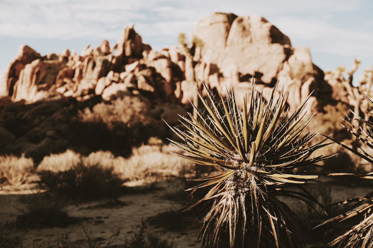 jotham the 1st 🇺🇬 tweet media