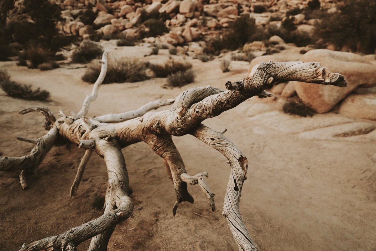 jotham the 1st 🇺🇬 tweet media