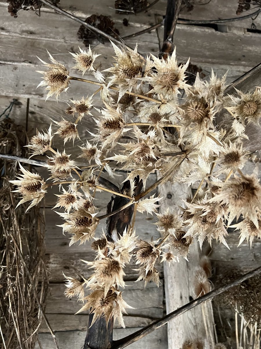 Sound Matters - Listening, for a better world! tweet media