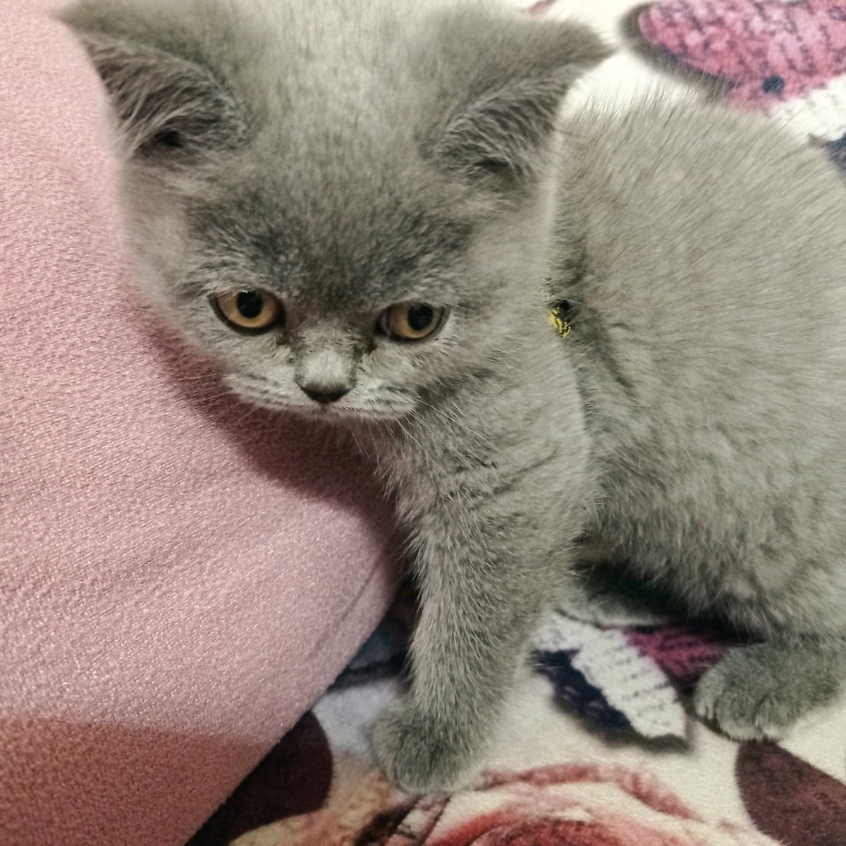 Hayatta hiçbirşeyim az olmadııı senin kadaarr