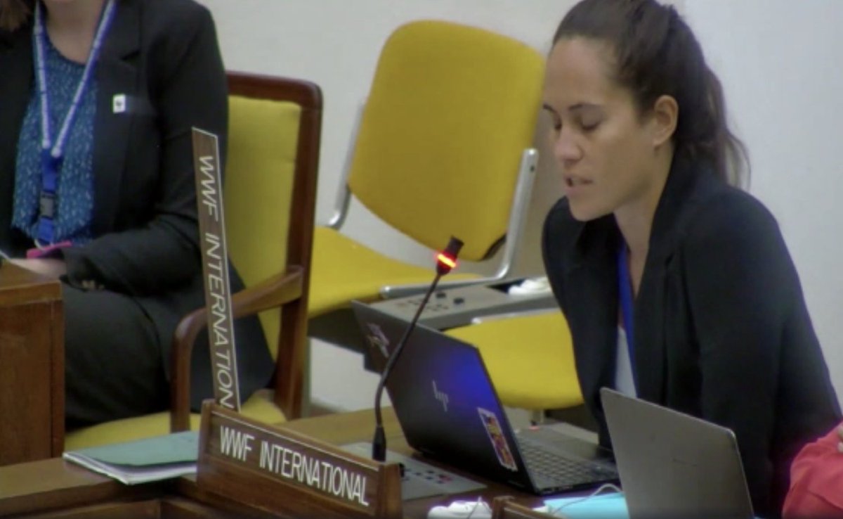 Deep Sea Conservation Coalition (@deepseaconserve) on Twitter photo <a href="/Greenpeace/">Greenpeace International</a> <a href="/Duncan_Currie/">Duncan Currie</a> Speaking to discussions on underwater cultural heritage, Alanna Smith, on behalf of <a href="/WWF/">WWF</a>, says- "Underwater heritage is much broader than just artefacts. We as Pacific Islanders have a deep cultural connection to the #DeepSea." #DefendTheDeep #ISA28 <a href="/Greenpeace/">Greenpeace International</a> <a href="/Duncan_Currie/">Duncan Currie</a> Speaking to discussions on underwater cultural heritage, Alanna Smith, on behalf of <a href="/WWF/">WWF</a>, says- "Underwater heritage is much broader than just artefacts. We as Pacific Islanders have a deep cultural connection to the #DeepSea." #DefendTheDeep #ISA28
