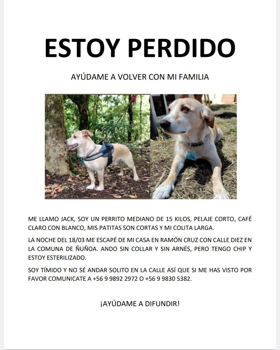 FrancoHerFer's tweet photo. Porfavor ayúdenme a encontraro 
#mascotas #viral 
#cambiodehora #chile
#SantiagodeChile 
#ñuñoa #Santiago https://t.co/vPya61QBa1
