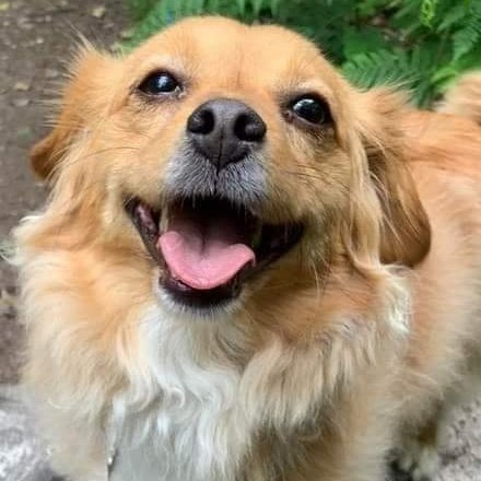 Amy here. I told a joke this morning. I think it's really funny. 
"Why don't blind people go skydiving more often. 
Because it scares the guide dog."
💜💜💜