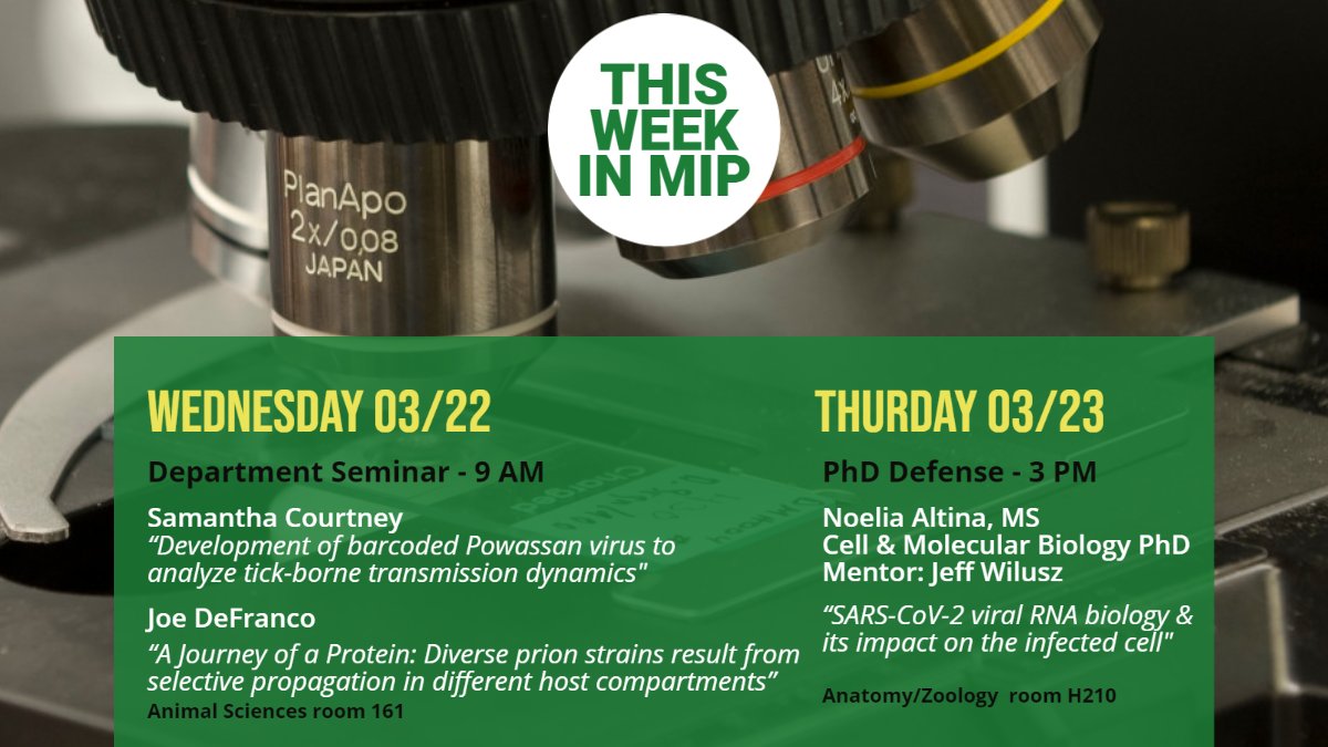 This Week in #MIP - department seminar (@sj__courtney) and a PhD defense!

#PowassanVirus #Ticks #Transmission #Prions #SelectivePropogation #Hosts #SARSCoV2 #RNABiology #GraduateResearch #PhDDefense #CSUResearch